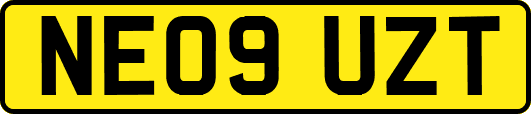 NE09UZT