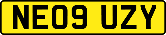 NE09UZY
