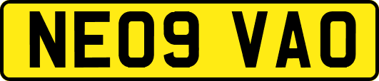 NE09VAO