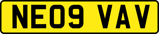 NE09VAV