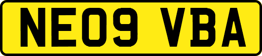 NE09VBA