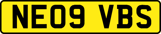 NE09VBS