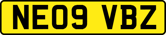 NE09VBZ