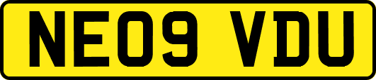 NE09VDU