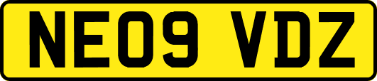 NE09VDZ