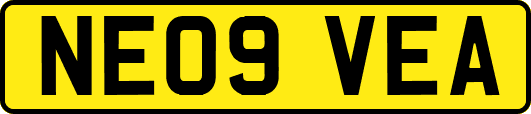 NE09VEA