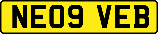 NE09VEB