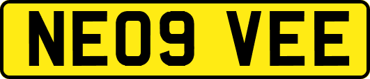 NE09VEE