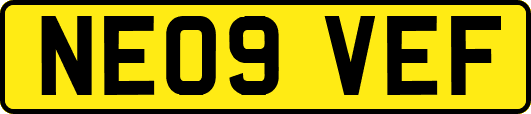 NE09VEF
