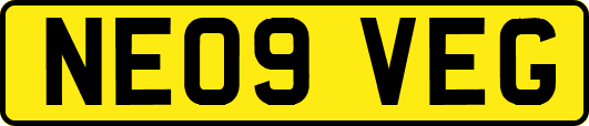 NE09VEG