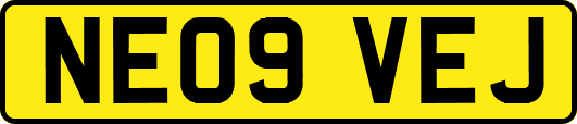 NE09VEJ