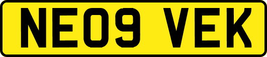 NE09VEK