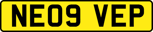 NE09VEP