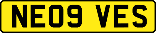 NE09VES
