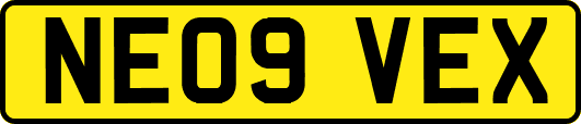 NE09VEX