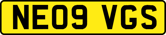 NE09VGS