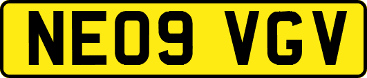 NE09VGV