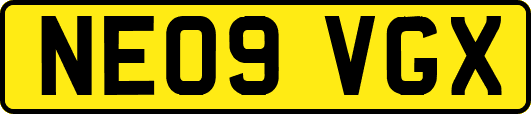 NE09VGX