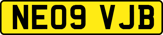 NE09VJB