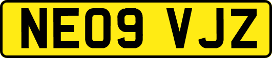 NE09VJZ