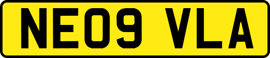 NE09VLA