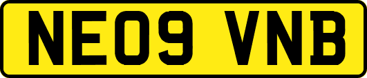NE09VNB
