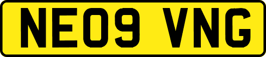NE09VNG