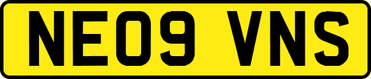 NE09VNS