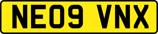 NE09VNX
