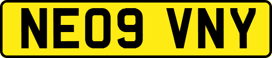 NE09VNY