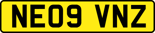 NE09VNZ