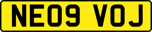 NE09VOJ