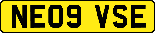 NE09VSE
