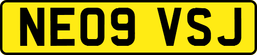 NE09VSJ