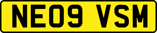 NE09VSM