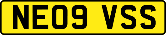 NE09VSS