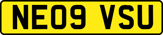 NE09VSU