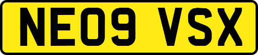 NE09VSX