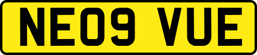 NE09VUE