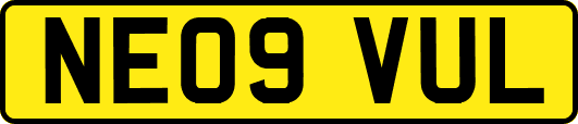 NE09VUL