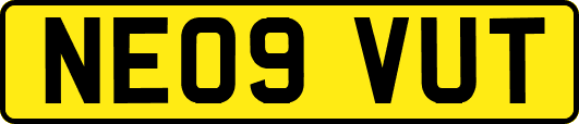 NE09VUT