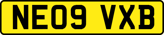 NE09VXB