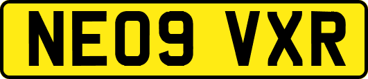 NE09VXR