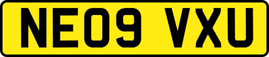 NE09VXU