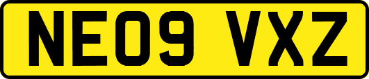 NE09VXZ