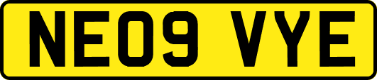 NE09VYE