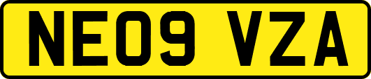 NE09VZA