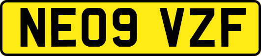 NE09VZF