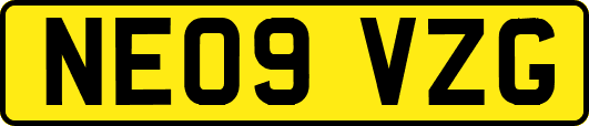 NE09VZG