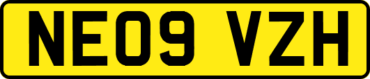 NE09VZH
